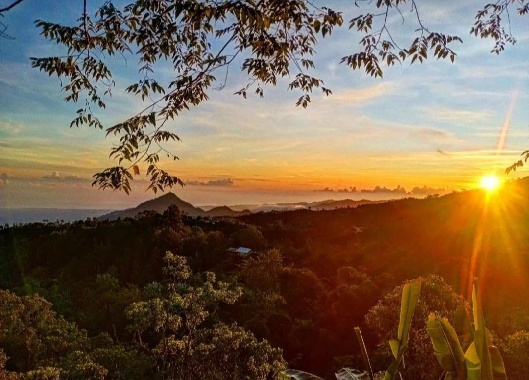 Wanagiri Campsite Gitgit Zewnętrze zdjęcie