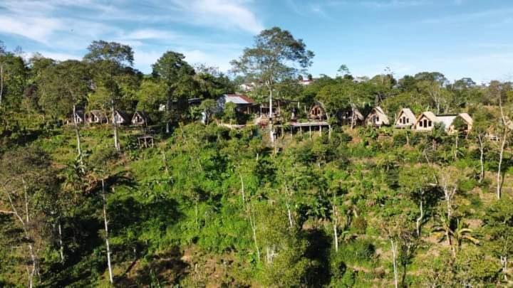 Wanagiri Campsite Gitgit Zewnętrze zdjęcie