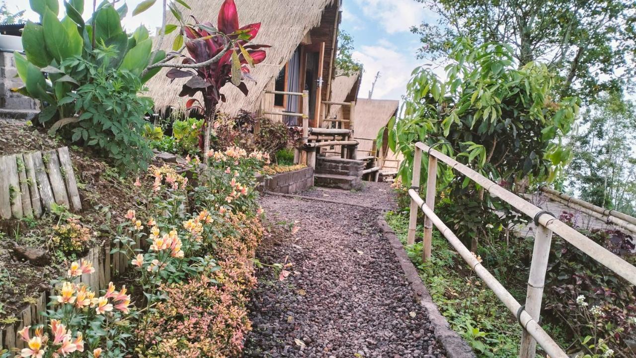 Wanagiri Campsite Gitgit Zewnętrze zdjęcie
