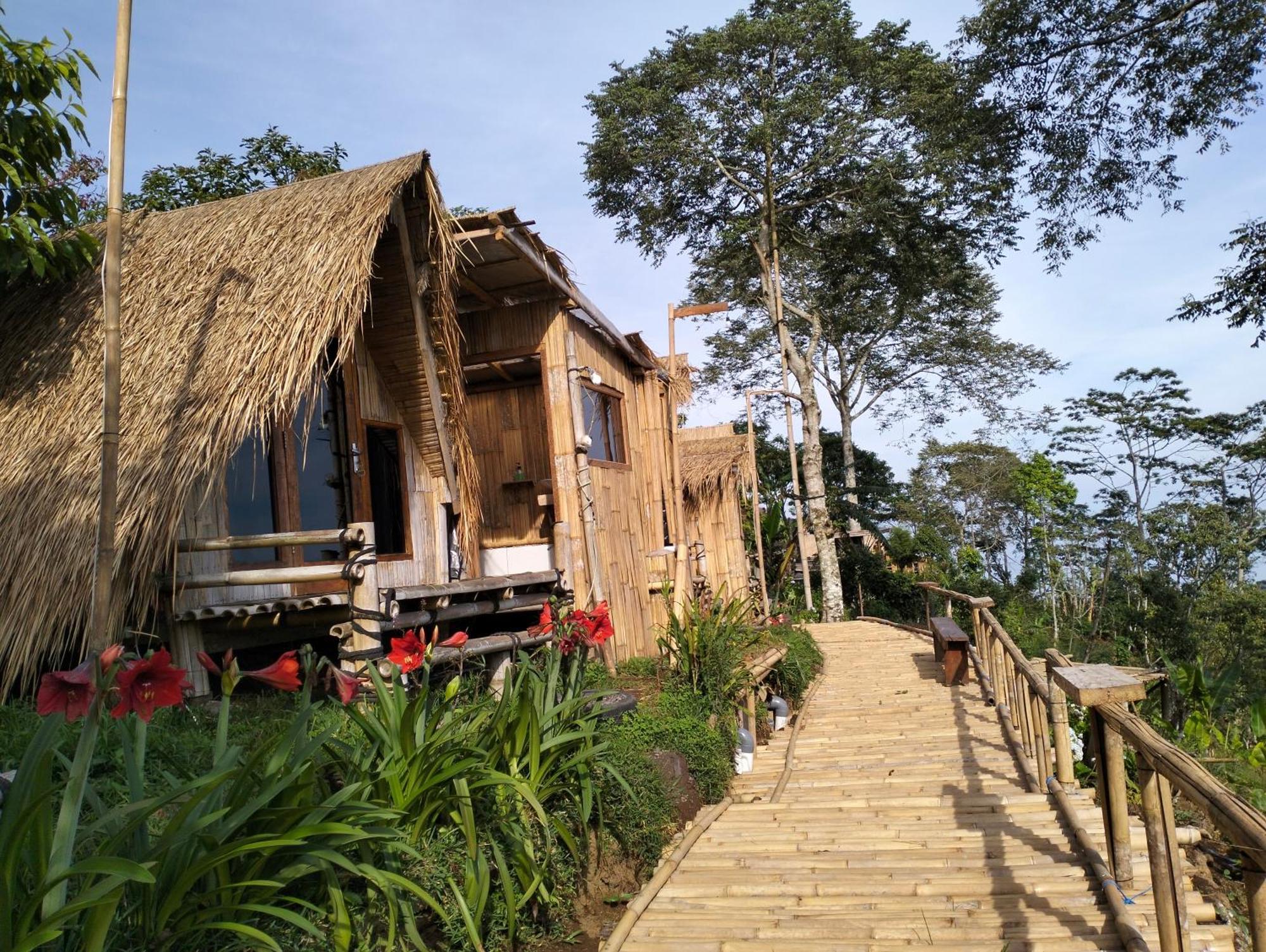 Wanagiri Campsite Gitgit Zewnętrze zdjęcie