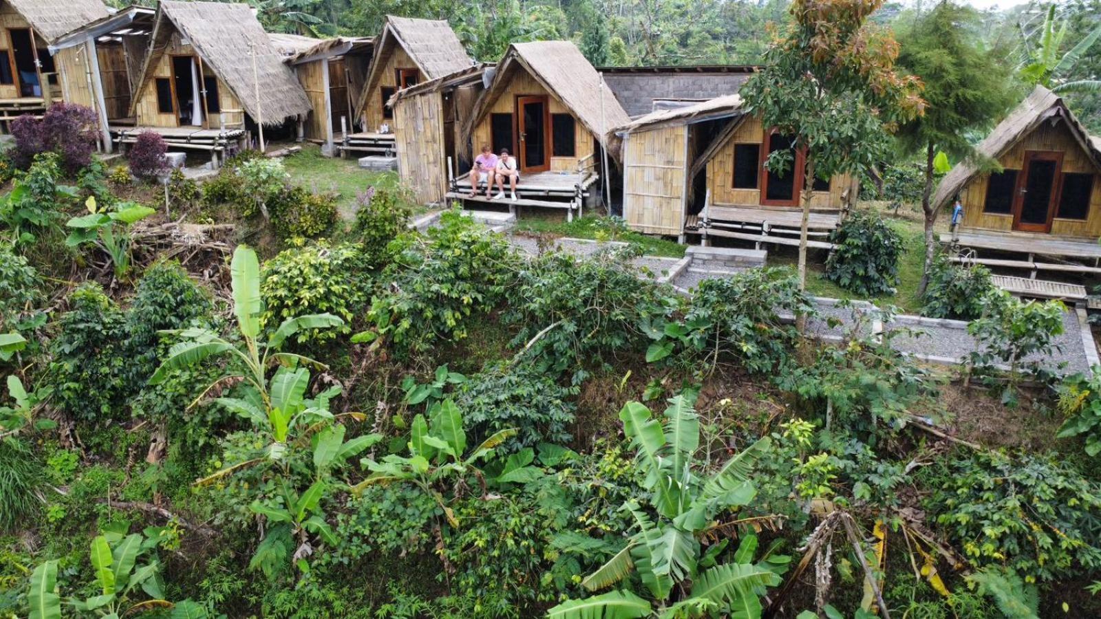 Wanagiri Campsite Gitgit Zewnętrze zdjęcie